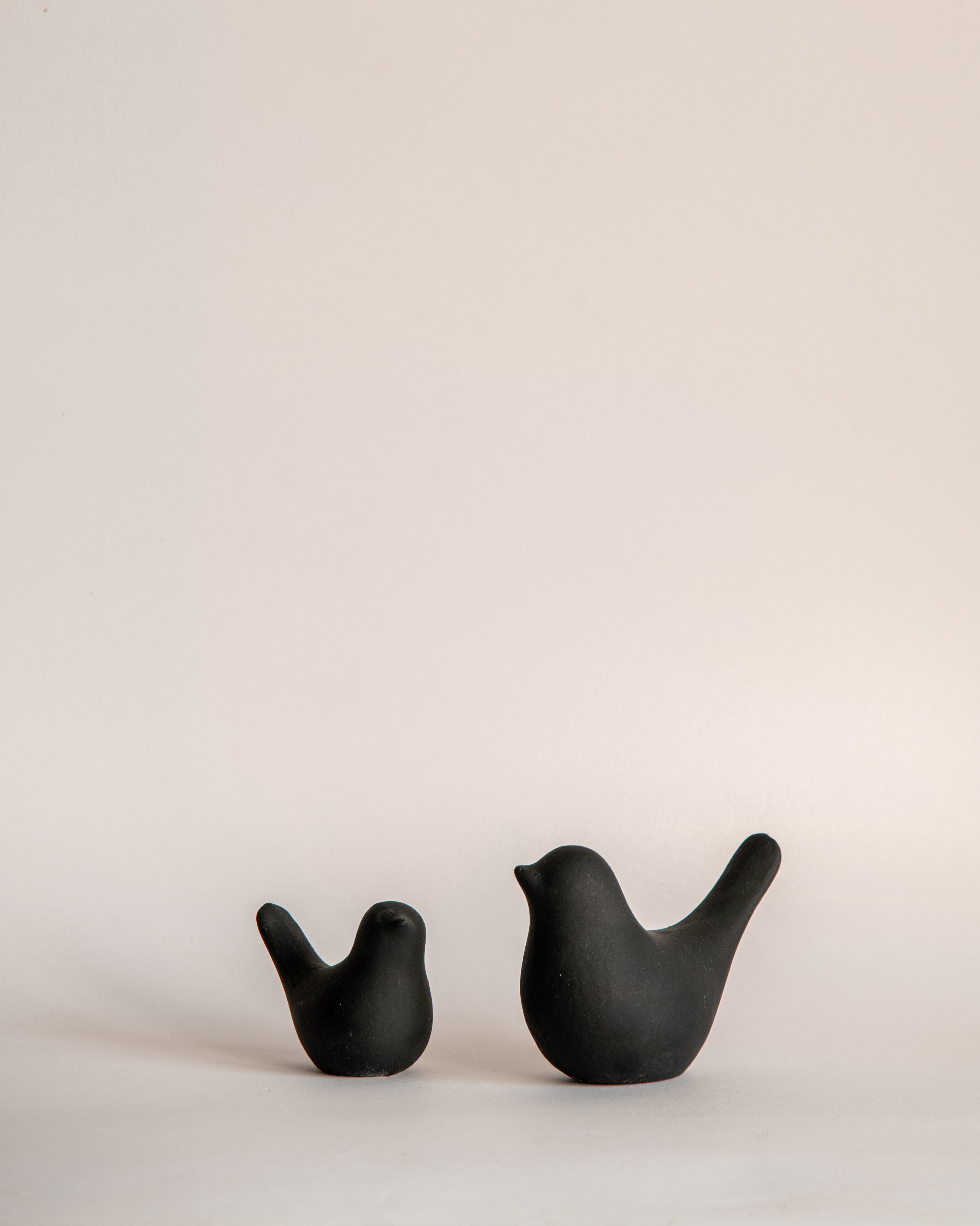 Set of Two Mocking Birds, Decor Accessory