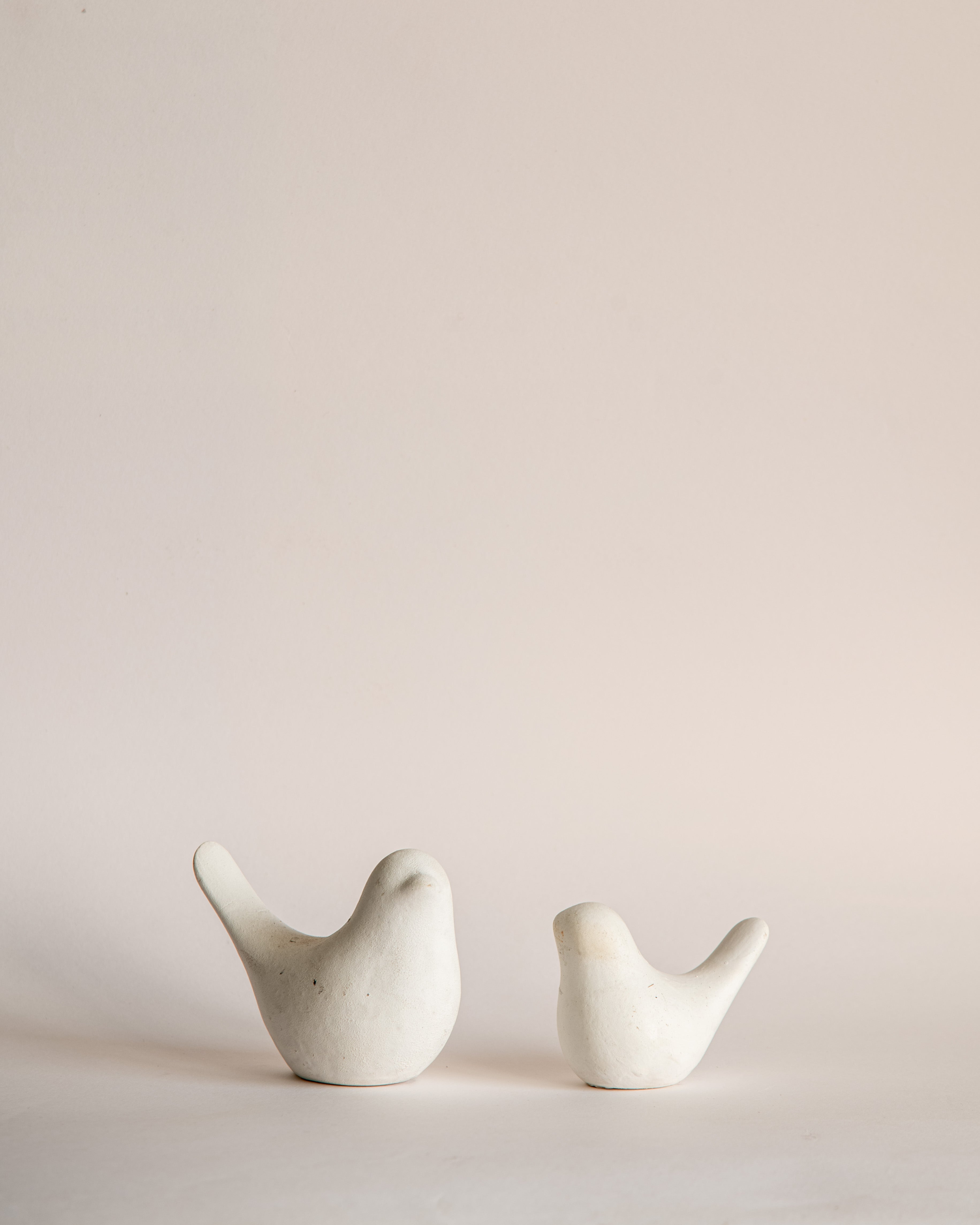 Set of Two Mocking Birds, Decor Accessory